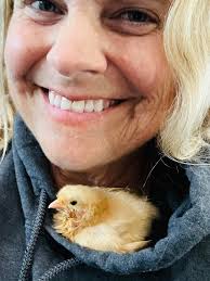 You've Come a Long Way Baby!!! 🐥 Our little Wry-Lee came to us 2 weeks ago  from a local feed store. They called because Wry-Lee had wry neck and they  wanted to