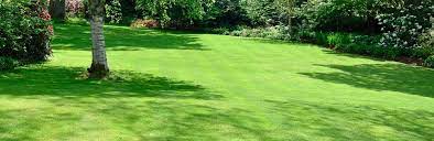 A grass trimmer may facilitate you to cut the grass short. How To Seed Grow Grass Love The Garden