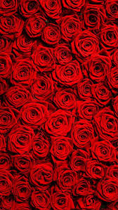 Tumblr is a place to express yourself, discover yourself, and bond over the stuff you love. Wallpaper Iphone Red Roses Wallpaper Gothic Wallpaper Pretty Wallpaper Iphone