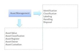 Difference Between Asset Management And Wealth Management Asset Management Wealth Management Management