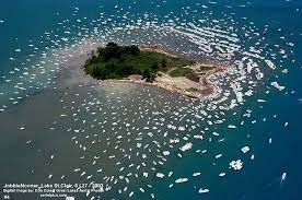 Approximately 1,114 km² (430 sq mi) in area, the lake is part of the great lakes system; Pin On Home Sweet Home