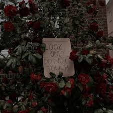 See more ideas about red aesthetic, red, aesthetic. Pinterest Artsyyyaf Gryffindor Aesthetic Red Aesthetic Dark Aesthetic
