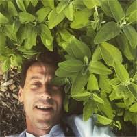 100+ profili “Cusumano”