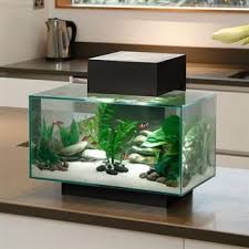 See our awesome moss here! Fluval Edge Aquarium Accessories Fish Tank Decorations Aquarium Design Home Aquarium Fish