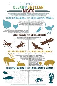 infographic which animals does the bible designate as