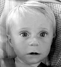 Board Recall Scotched, But Residents Question Chief's Dismissal