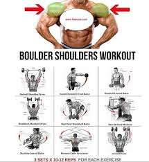 We Can T Start To Create Up The Muscles In Your Shoulders Without Knowing What Muscles Form Up Your Shoulders Ejercicios Hombro Ejercicios Hombres