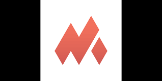 NETMOD VPN Logo