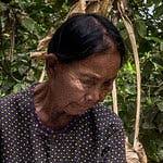 The Bucolic Life of a Cambodian Grandmother Accused of Mass Killings