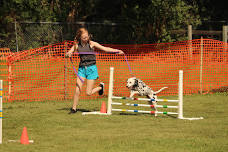 Dog Agility