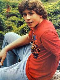 1970s Male Teen Idols - ReelRundown