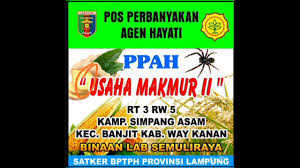 Tujuan penelitian ini adalah meningkatkan mortalitas serangga hama walang sangit melalui pemberian agen hayati larutan. Pos Perbanyakan Agen Hayati Kampung Simpng Asam Kecamatan Banjut Kab Way Kanan Youtube