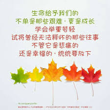 pin by minnie lin on 人生语录 chinese quotes buddhist traditions bodhi