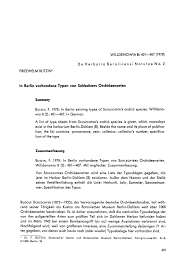 Image result for Schizochilus sulphureus