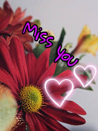 I miss you so much card on blurred flowers background. Beautiful I Miss U Images In Flower Wallpaper Photo Miss U Pic Flowers 674x900 Download Hd Wallpaper Wallpapertip
