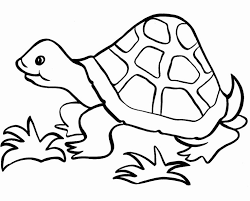 tortoise coloring pages best for kids turtle animal cute drawings coloriage de flocon neige