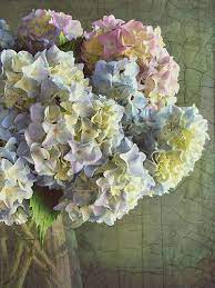 We Do Not Remember Days We Remember Moments Deb Marchman Flickr Beautiful Hydrangeas Hydrangea Flower Colorful Roses
