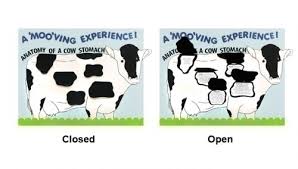 Make A Science Fair Project About Cow S Digestive System And Process Animal Science Poster Ideas For Kids Science Fair Projects Science Fair Science Poster