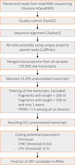 Analysis Of Long Non Coding Rna And Mrna Expression In