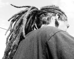 Artwork and kitchen accessories repeat the room's color scheme. Dreadlock Hairstyles 25 Mind Blowing Styles Design Press