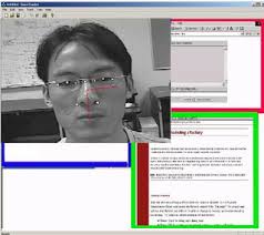 Screenshot of eye tracking program