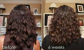 Is argan oil good for hair? Argan Oil For Hair What S The Benefit Hsi Professional
