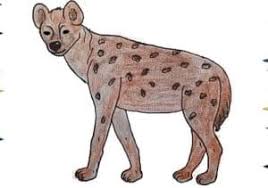 Maybe you would like to learn more about one of these? Hyena Drawing Easy Step By Step Wild Animals Drawing