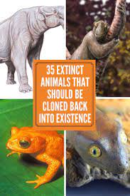 Top 35 Extinct Animals Extinct Animals Animals Extinction