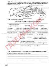история средних веков 6 класс ответы на вопросы в учебнике Otvety K Pechatnoj Tetradi Po Geografii Vitchenko Obuh Stankevich 6 Klass Bez Skachivaniya Uroki Matematiki Uchebnik Geografiya