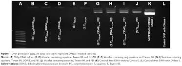 Full Text Cationic Vesicles For Efficient Shrna