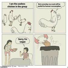 Most Useless Chicken In The World Imgflip Funny chicken memes 12 hrs therfuc if you named your chicken after the last thing you ate what would their name be? most useless chicken in the world imgflip