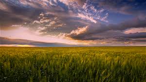 See more ideas about nature gif, nature, gif. Mysterious Nature Album On Imgur