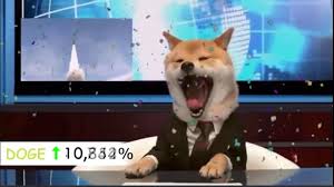 We're taking dogecoin to the moon! Dogecoin To The Moon Crypto Doge Bitcoin