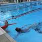 PDSS Junior Swimming Carnival event image