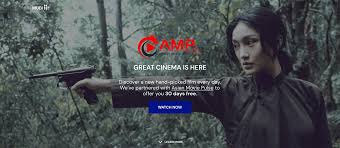 Epic movie movie reviews & metacritic score: 20 Great Contemporary Asian Epic Films