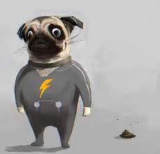 images?q=tbn:ANd9GcShMuaJLhH_s0NQ1LlQclM