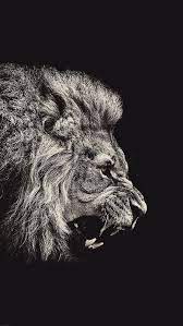 Iphone Wallpaper Black And White Lion Iphone Wallpaper Lion Wallpaper Iphone Lion Wallpaper Dark Wallpaper Iphone