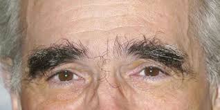 Try applying fresh onion juice on your brows to stimulate growth of new hair. Eyebrows A User S Manual Eyebrow Advice For Men