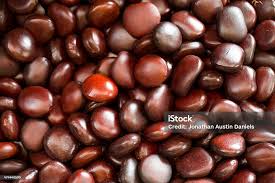 Image result for Entada gigas