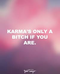 20 Funny Quotes That Remind You That Karma Is Always Watching Karma Funny Funny Karma Quotes Karma Quotes