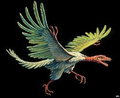 Resultado de imagem para archaeopteryx