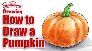 How To Draw A Pumpkin Spoken Tutorial Pumpkin Pumpkin Art A Pumpkin