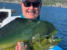 Fly Fishing Baja in La Ventana