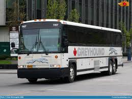 Greyhound Buses Image By David E Greyhound Bus Bus Motorcoach