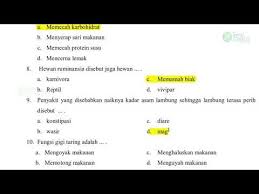 Soal Uts Pts Kelas 5 Tema 3 Bagian 1 Semester 1 Th 2020 Youtube