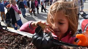 Pumpkin Patch Festival, Egg Harbor
