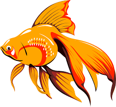 Fish logo png images vector and psd . 25 Betta Fish Silhouette Png Pics Fish