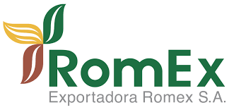 Romex