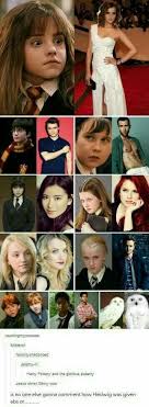 I Ve Seen This Too Many Times It Hedwig Gets Me Every Time Harry Potter Funny Harry Potter Cast Harry Potter Jokes