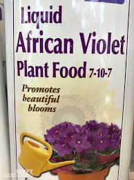 It is easy to feed your plants by garden feeder hose attachment. Houseplant Fertilizer Basics How And When To Feed Houseplants